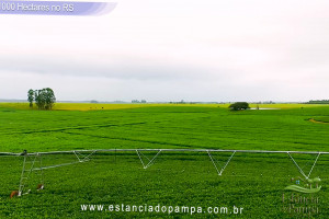 VB 4.00_02_37_09.Quadro039_526185ea18ff5ee54847685d572e8e0ef610d272.jpg